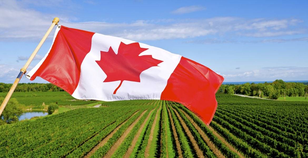 Country Guide Canada's agricultural entrepreneurs